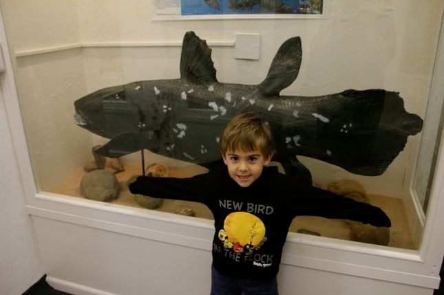 ... and another coelacanth (the last one we saw was at the East London museum)...
