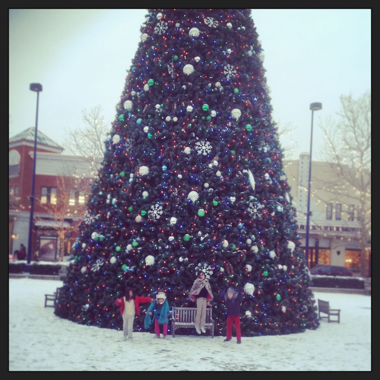 Big tree… and 4 happy kidlets...