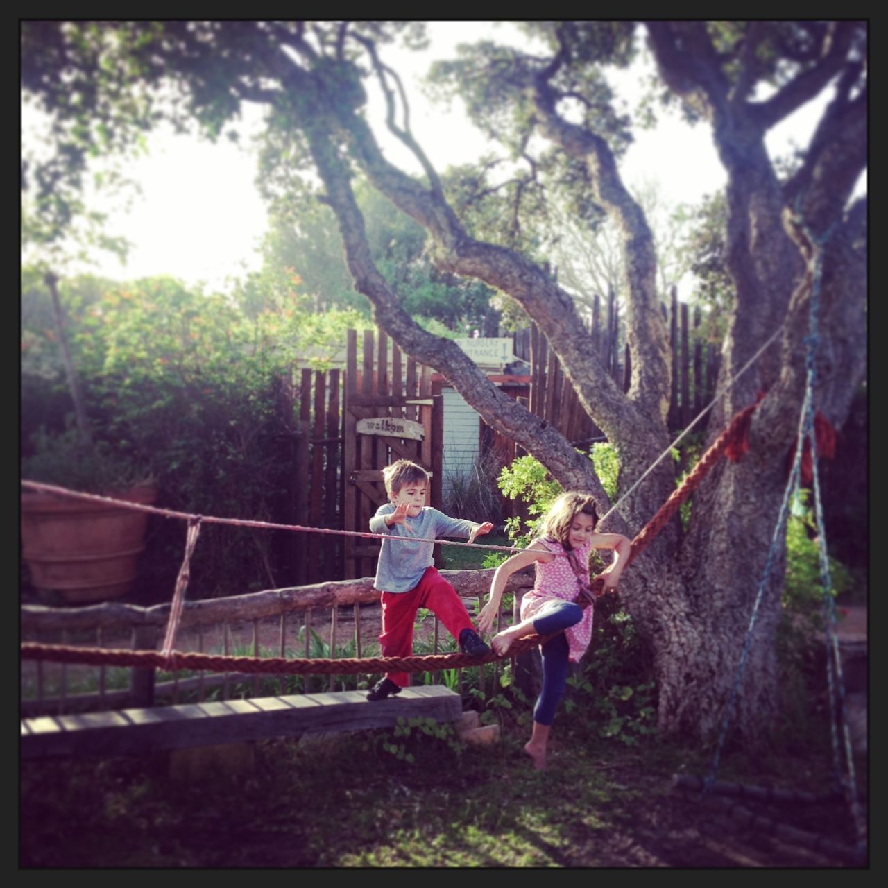 Rope bridge playground at an indigenous tree nursery that we found (close to Cape Point)...